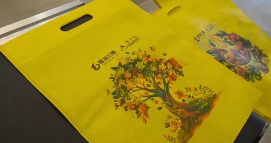 無紡布袋打印機視頻